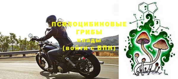 молекула духа Михайловка