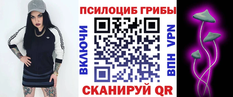 Псилоцибиновые грибы MAGIC MUSHROOMS MEGA онион Хасавюрт
