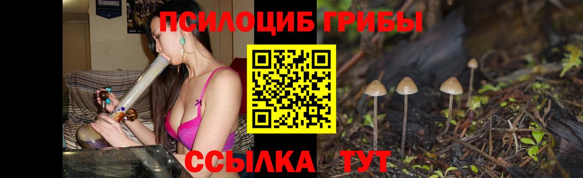 Хасавюрт  Галлюциногенные грибы ЛСД  Вход с VPN 
